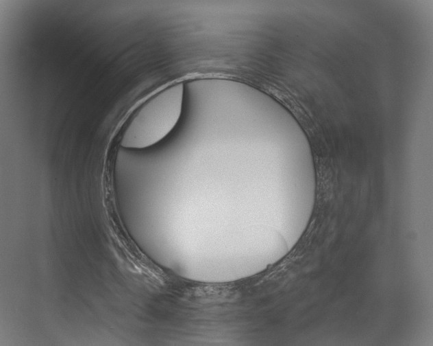 X0000074320338200608251036