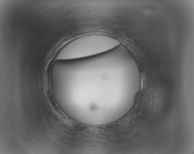 X0000074320339200608251036