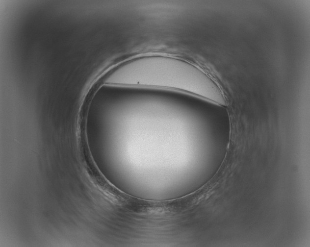 X0000074320344200608251036