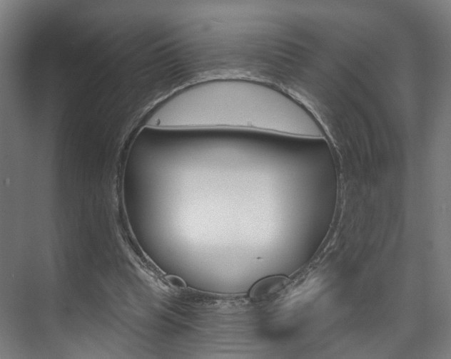 X0000074320345200608251036