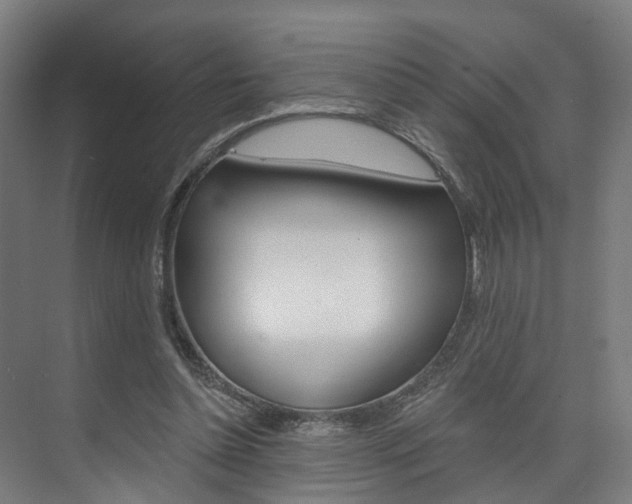 X0000074320348200608251036
