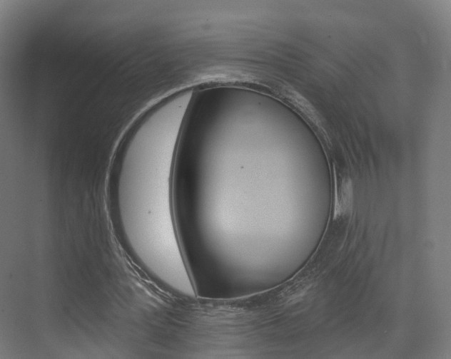 X0000074320387200608251036