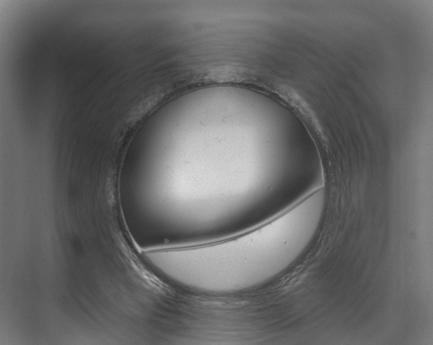 X0000074320393200608251036