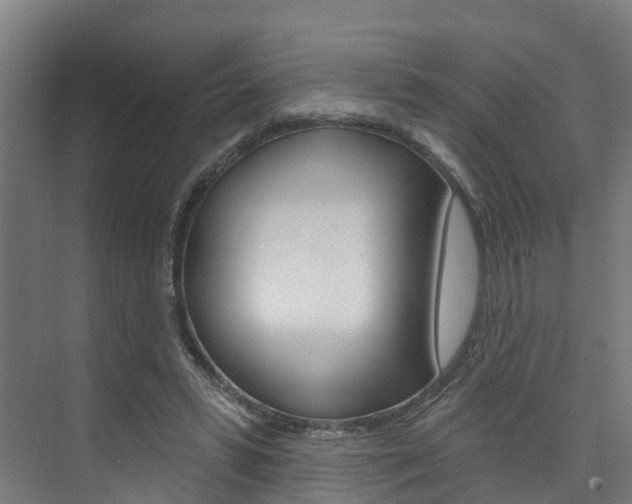 X0000074320399200608251036