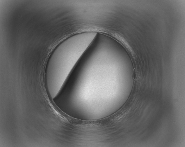X0000074320433200608251034