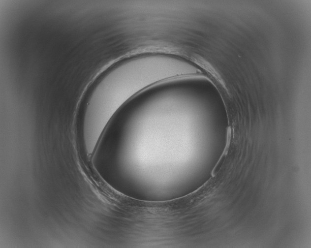 X0000074320436200608251034