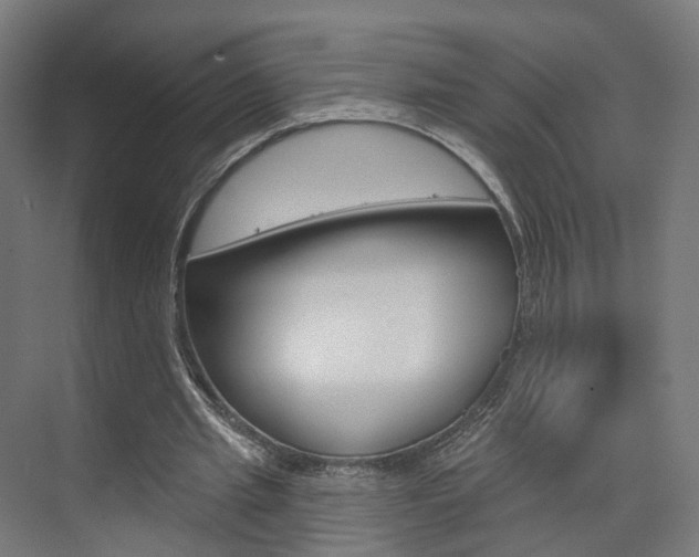 X0000074320437200608251034