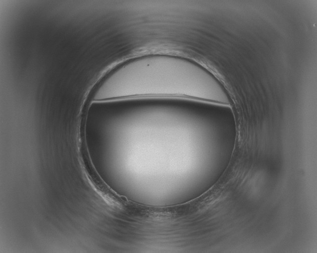 X0000074320438200608251034