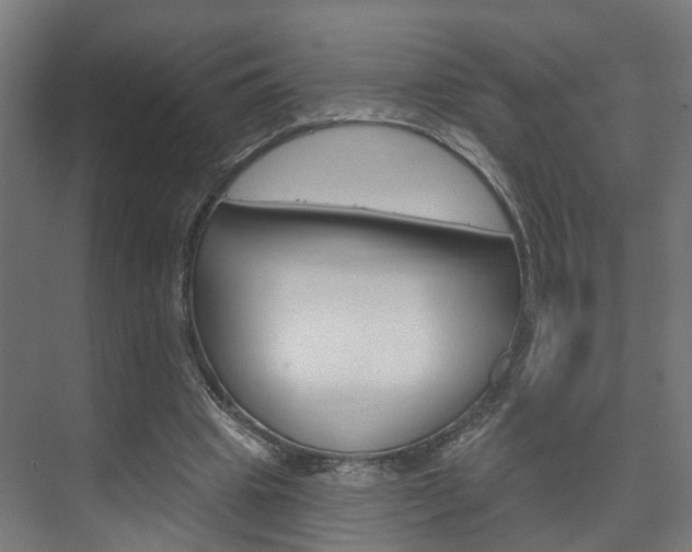 X0000074320441200608251035