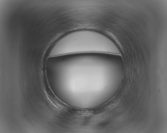 X0000074320443200608251035
