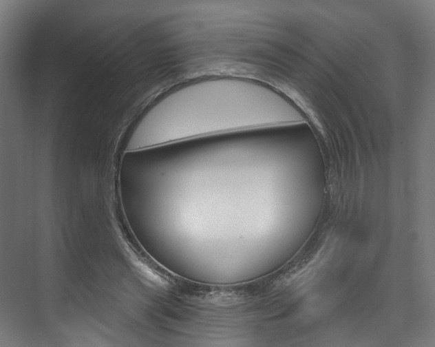 X0000074320445200608251035