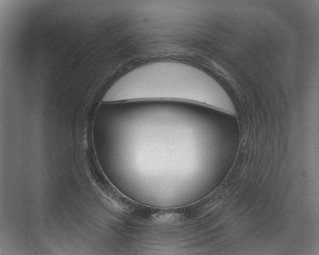 X0000074320452200608251035