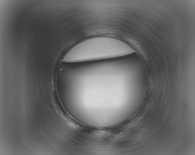 X0000074320453200608251035