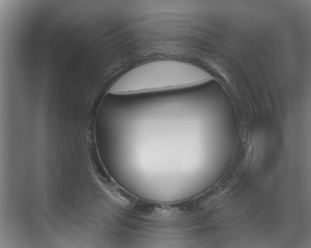 X0000074320455200608251035