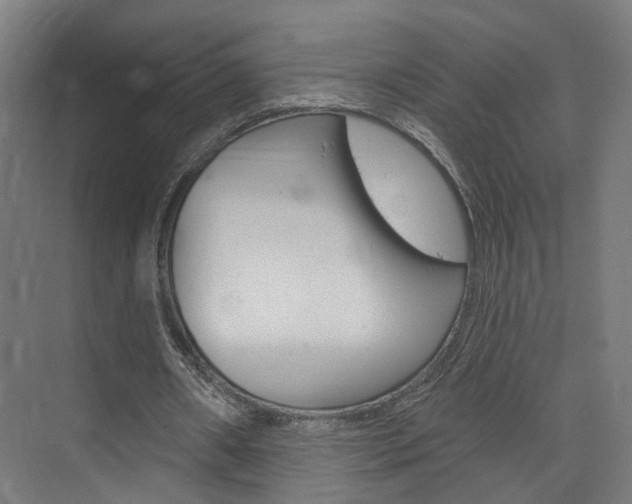 X0000074320482200608251034