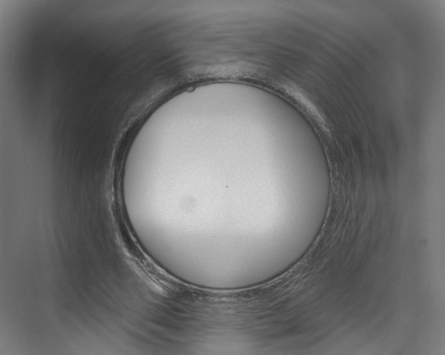 X0000074320486200608251034