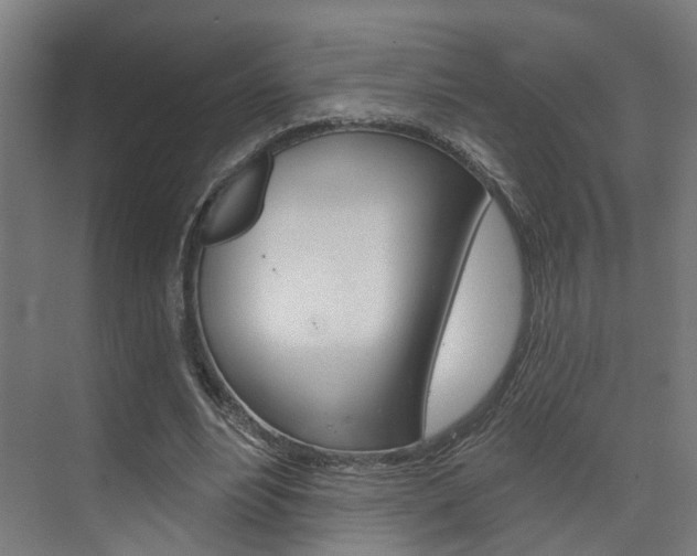 X0000074320488200608251034