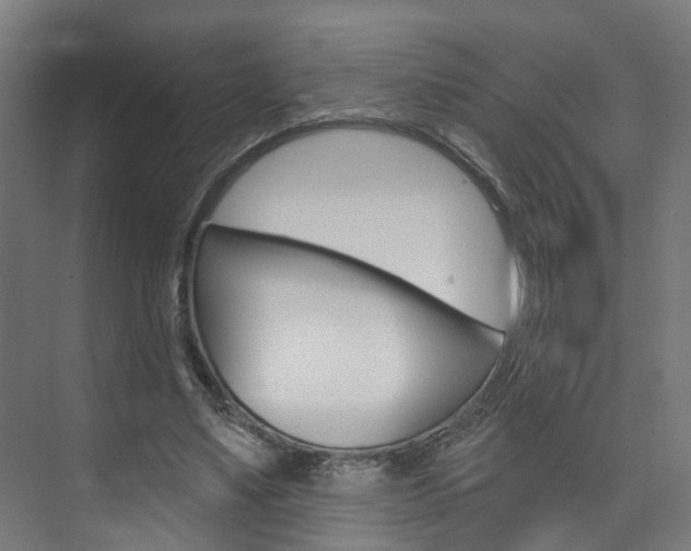 X0000074320491200608251034