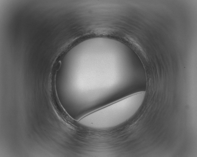 X0000074320492200608251034