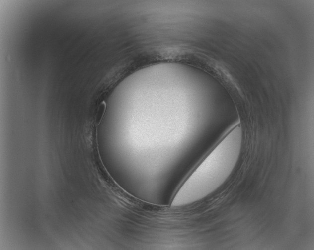 X0000074320505200608251034