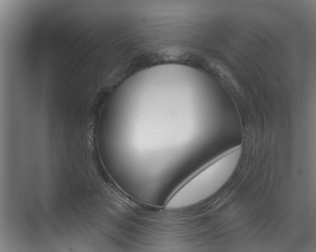 X0000074320509200608251034