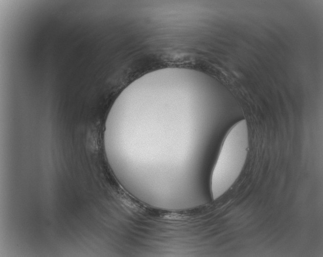 X0000074320515200608251034