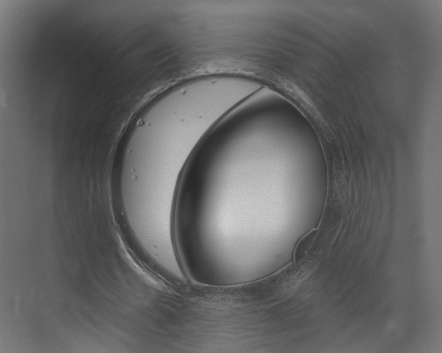X0000074320530200608251033