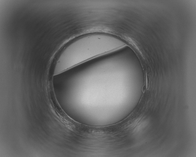 X0000074320531200608251033