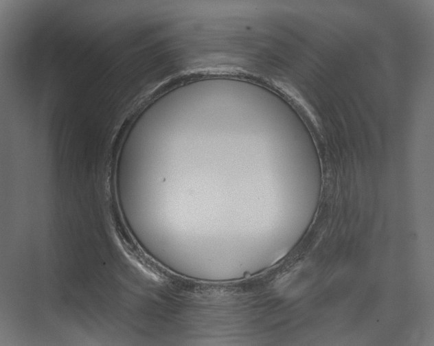 X0000074320533200608251033