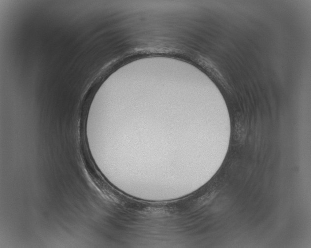 X0000074320534200608251033