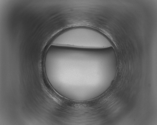 X0000074320535200608251033