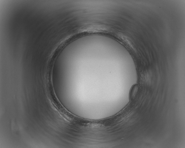 X0000074320539200608251033