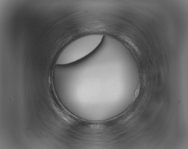 X0000074320541200608251033