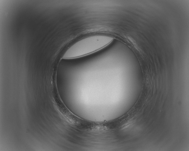 X0000074320543200608251033