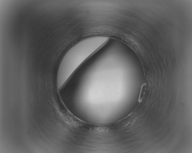 X0000074320546200608251033