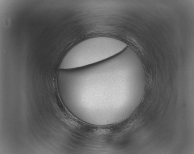 X0000074320549200608251033
