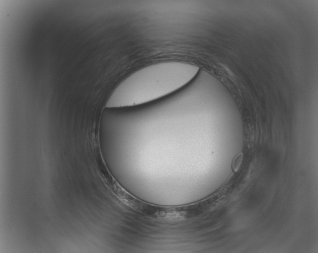 X0000074320553200608251033