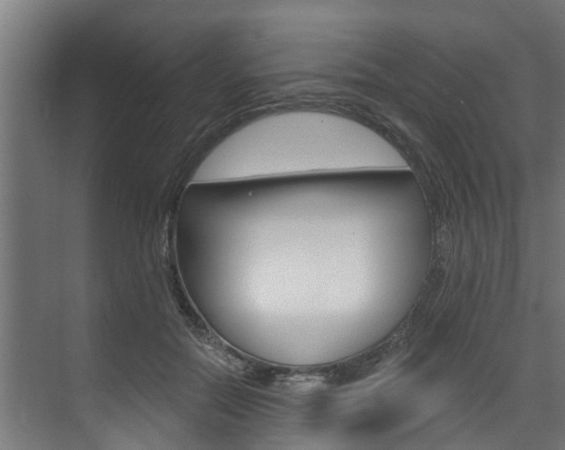 X0000074320554200608251033