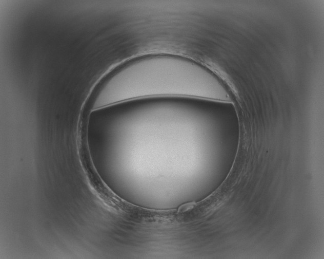 X0000074320580200608251033
