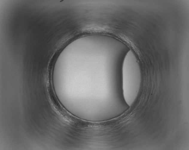X0000074320582200608251033