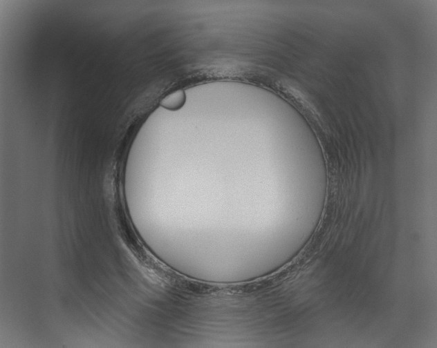 X0000074320586200608251033