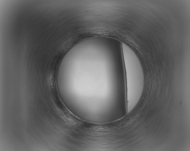 X0000074320597200608251032