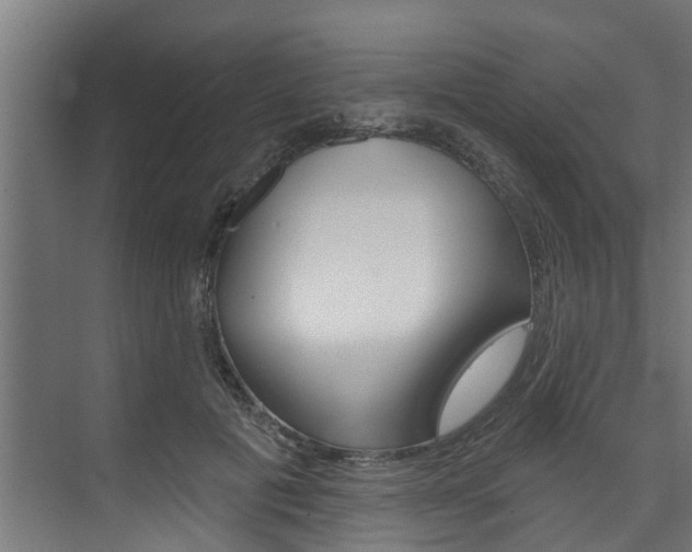 X0000074320601200608251032