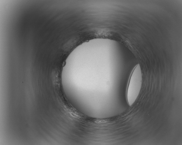 X0000074320619200608251032