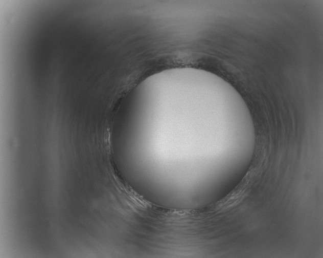 X0000074320624200608251032