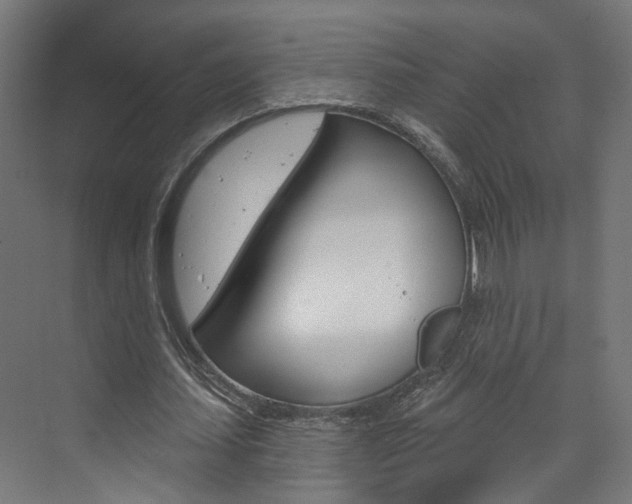 X0000074320627200608251031