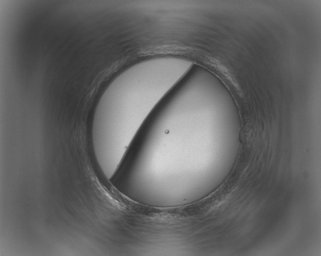 X0000074320633200608251031