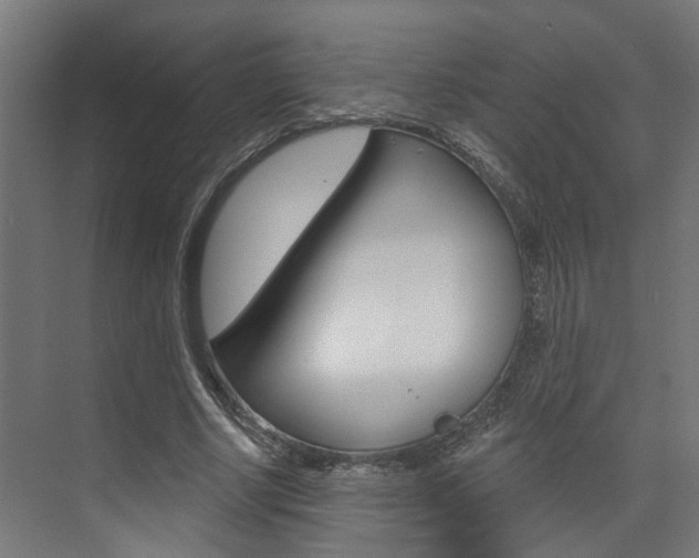 X0000074320634200608251031