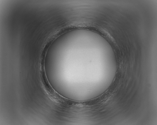 X0000074320635200608251031