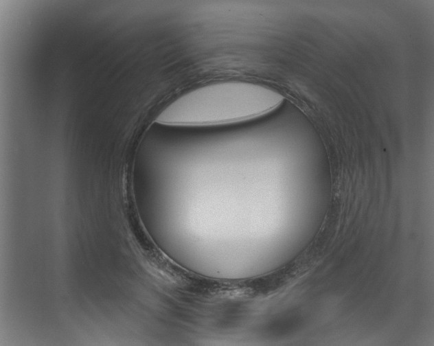X0000074320646200608251032